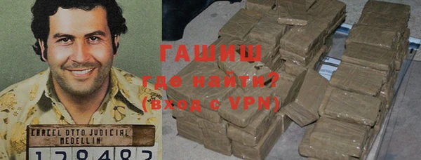 амф Ельня