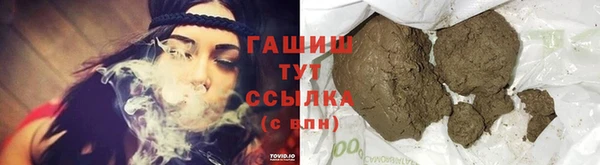 амф Ельня